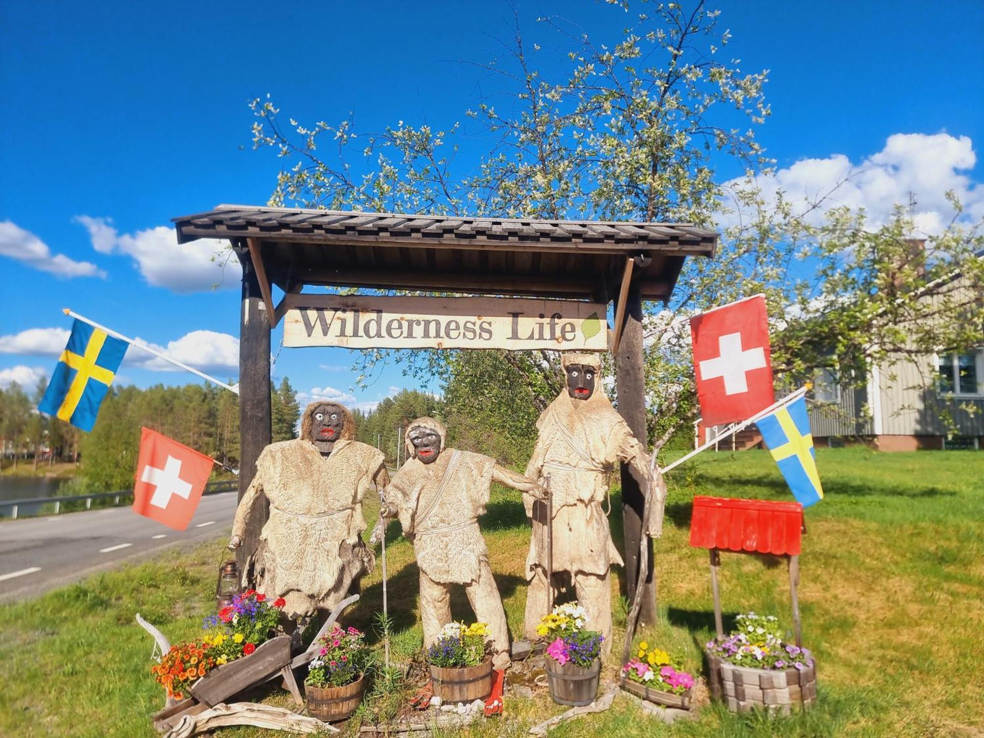 Baerenzimmer Wilderness Life アルビッツヤウル エクステリア 写真